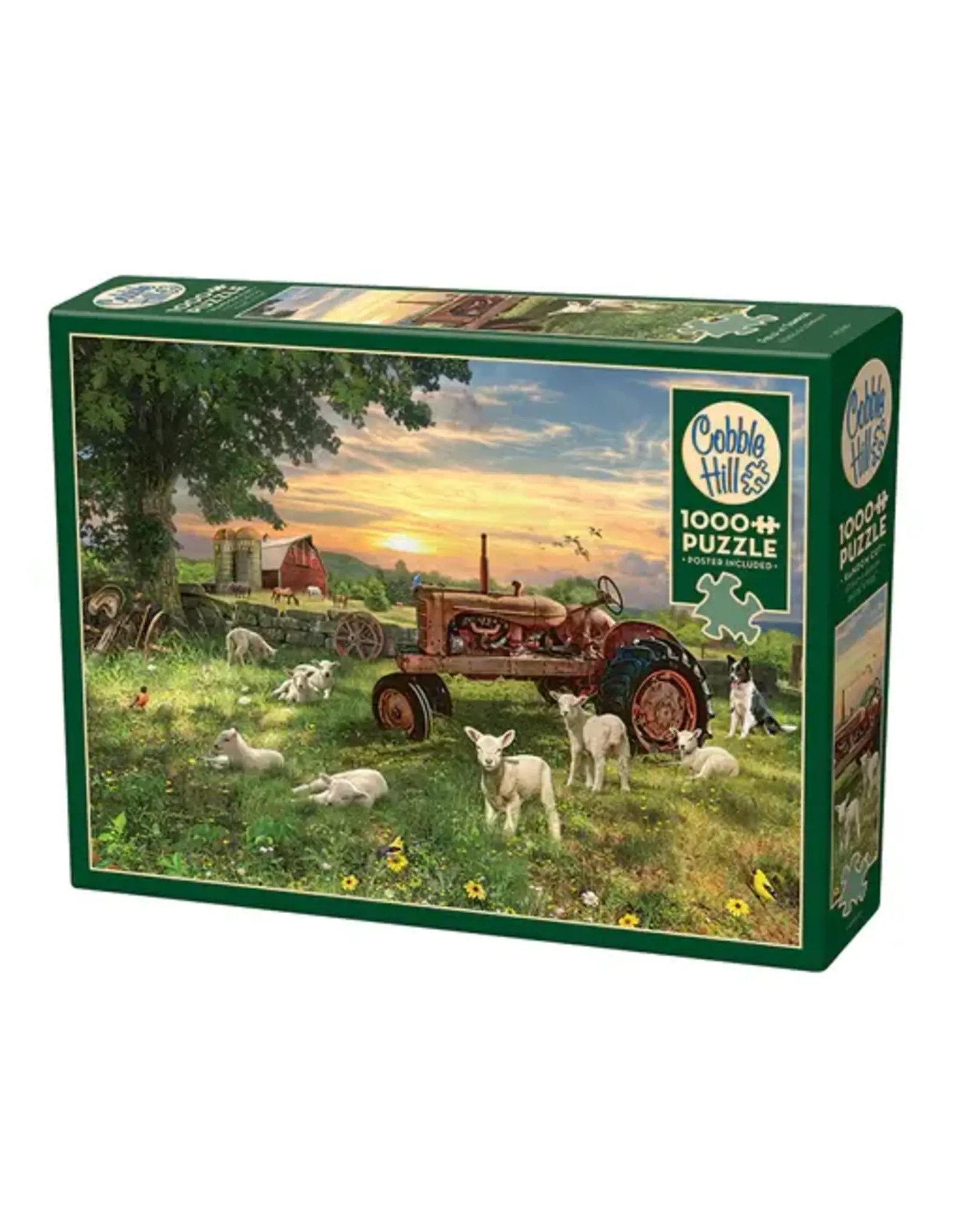 Cobble Hill Field at Sunrise 1000pc