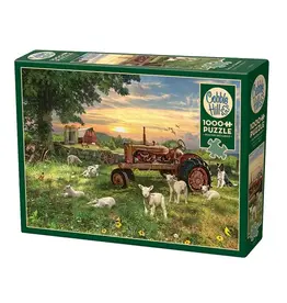 Cobble Hill Field at Sunrise 1000pc