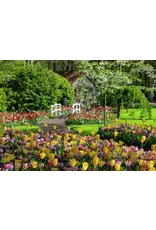 Ravensburger Keukenhof Gardens Netherlands 1000pc