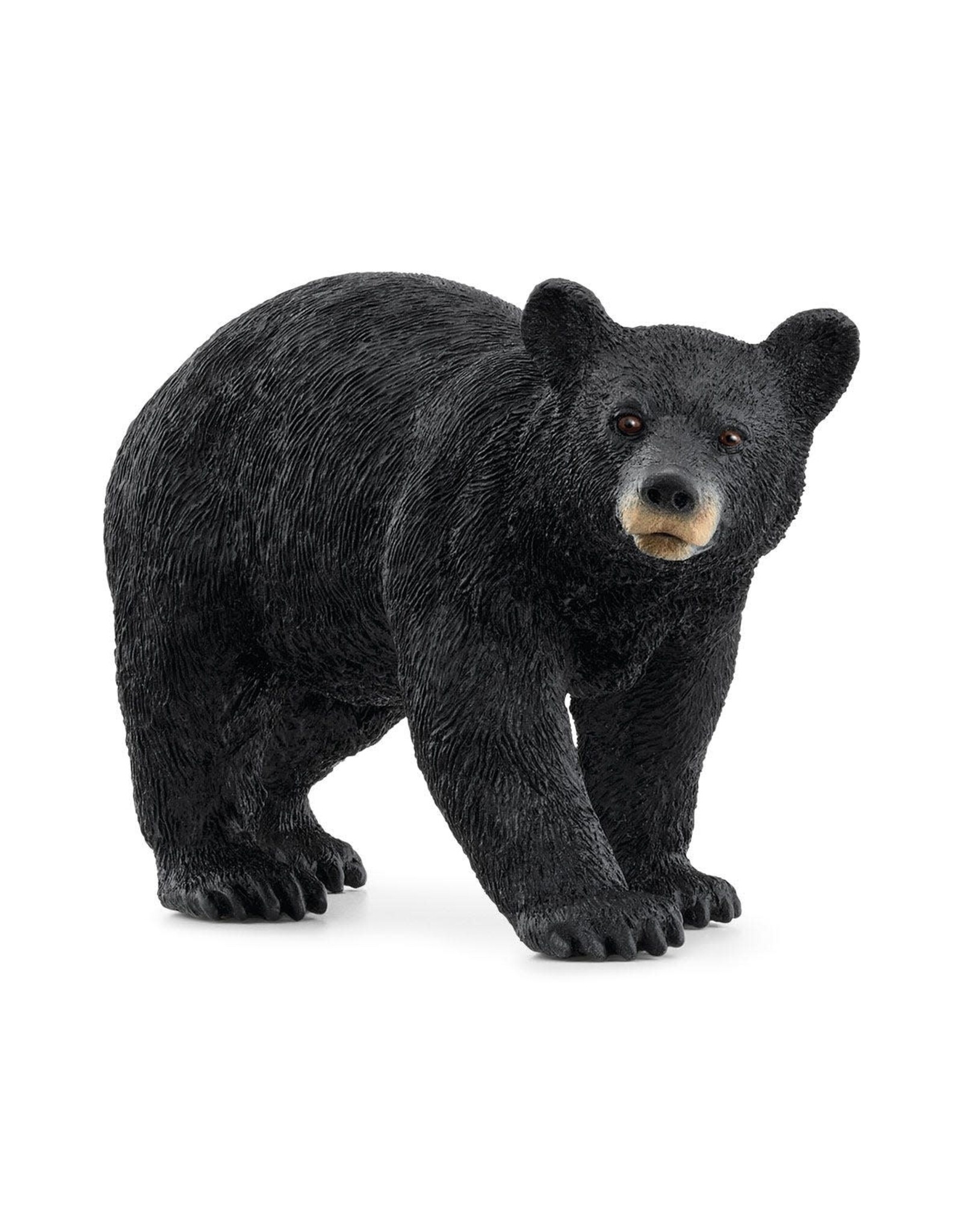 Schleich American Black Bear