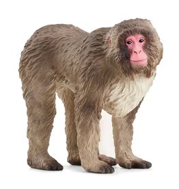 Schleich Japanese Macaque