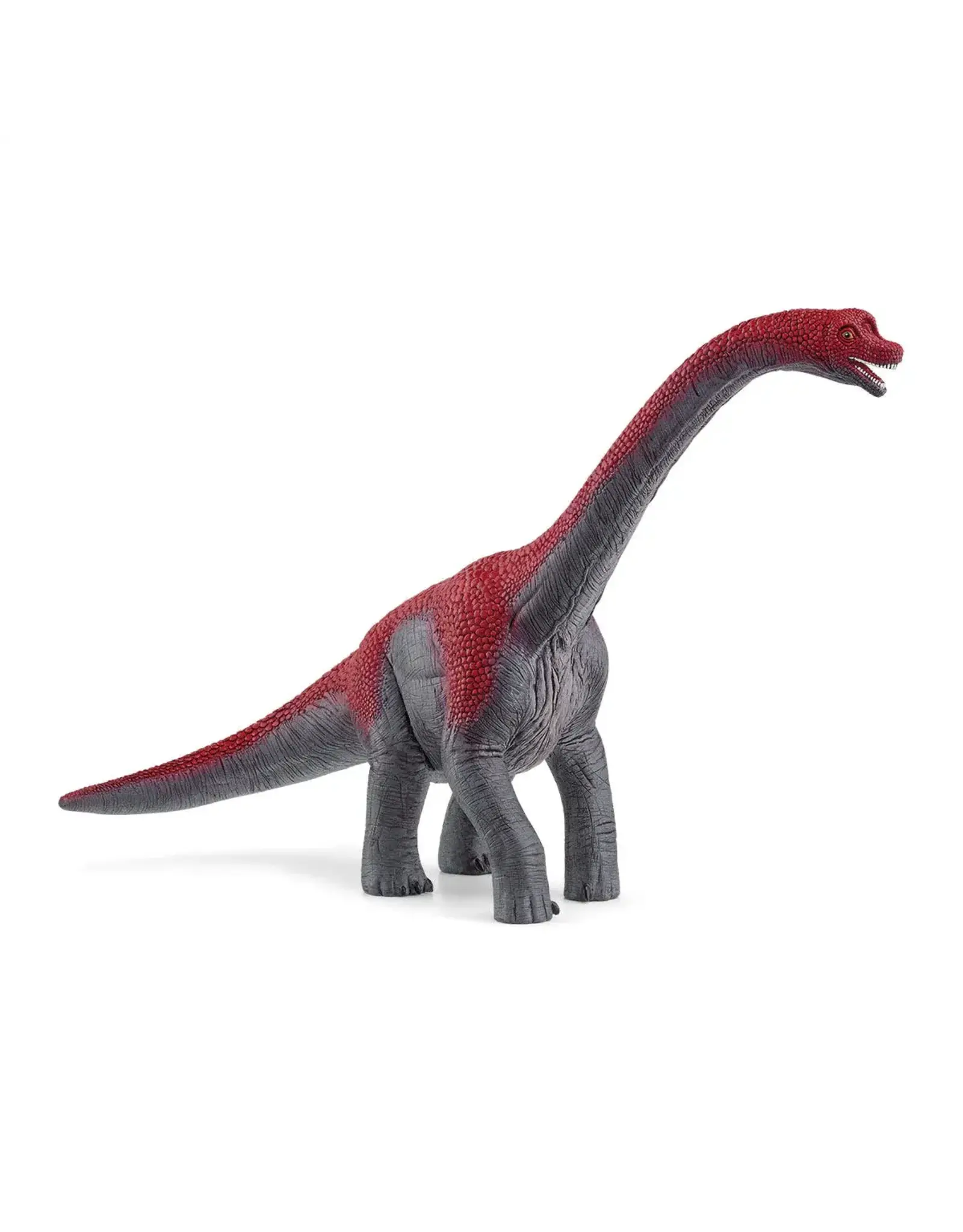 Schleich Brachiosaurus