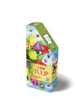 I AM Tulip 350 pc