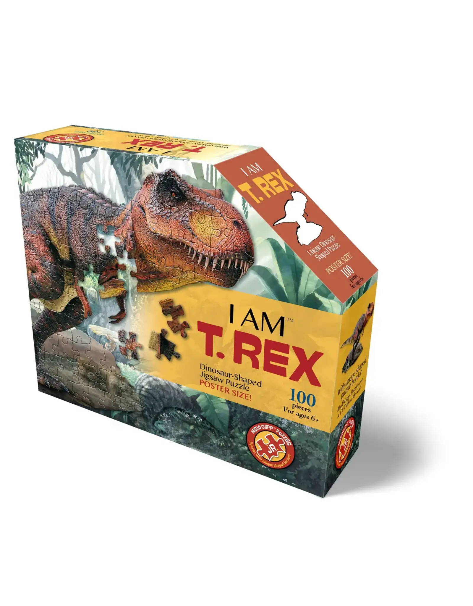 I AM T-Rex 100 pc