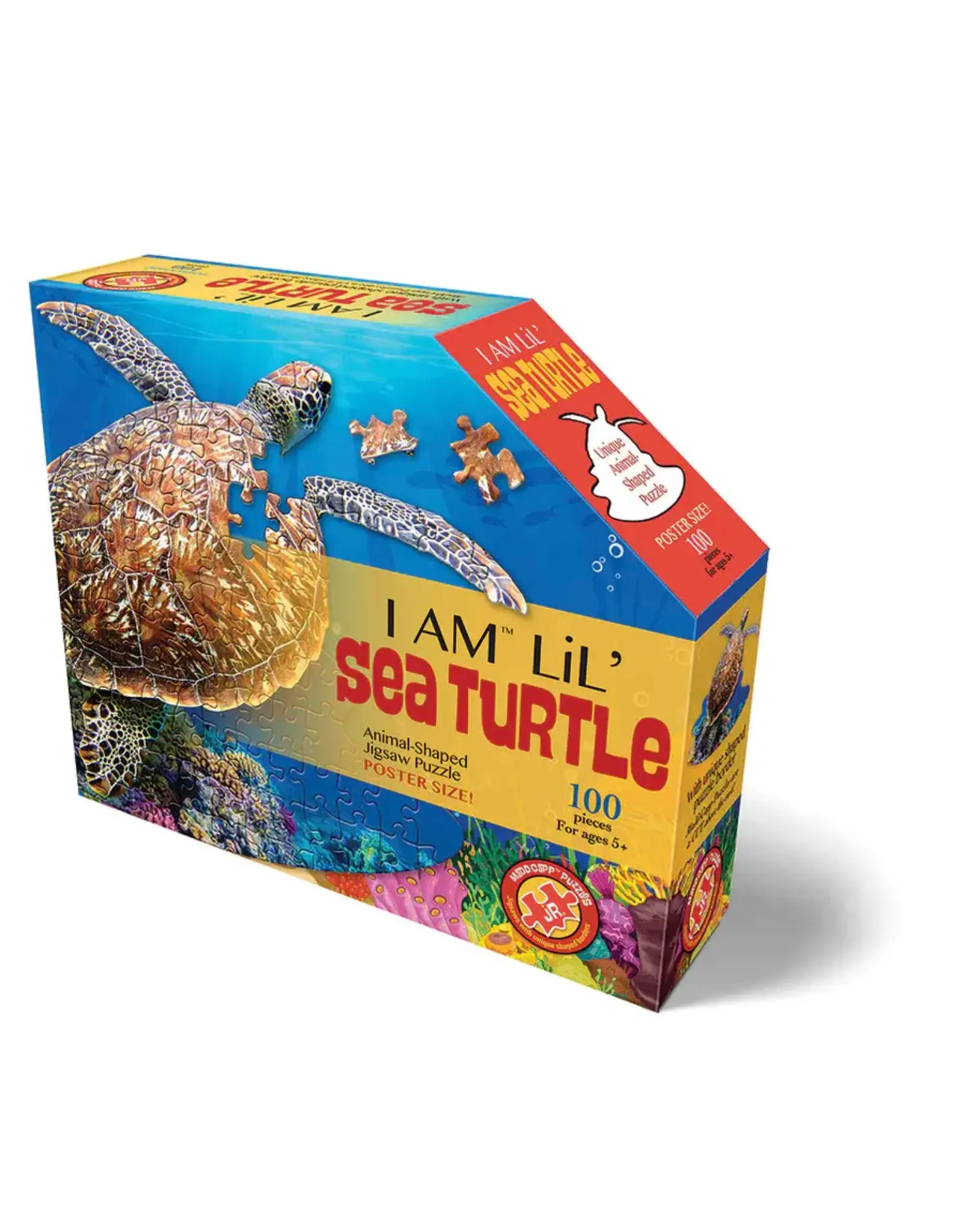 I AM Lil' Sea Turtle 100 pc