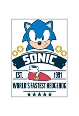 Sonic World's Fastest Hedgehog Flat Magnet