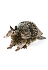Folkmanis Folkmanis Armadillo Puppet