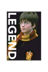 Harry Potter Legend Flat Magnet