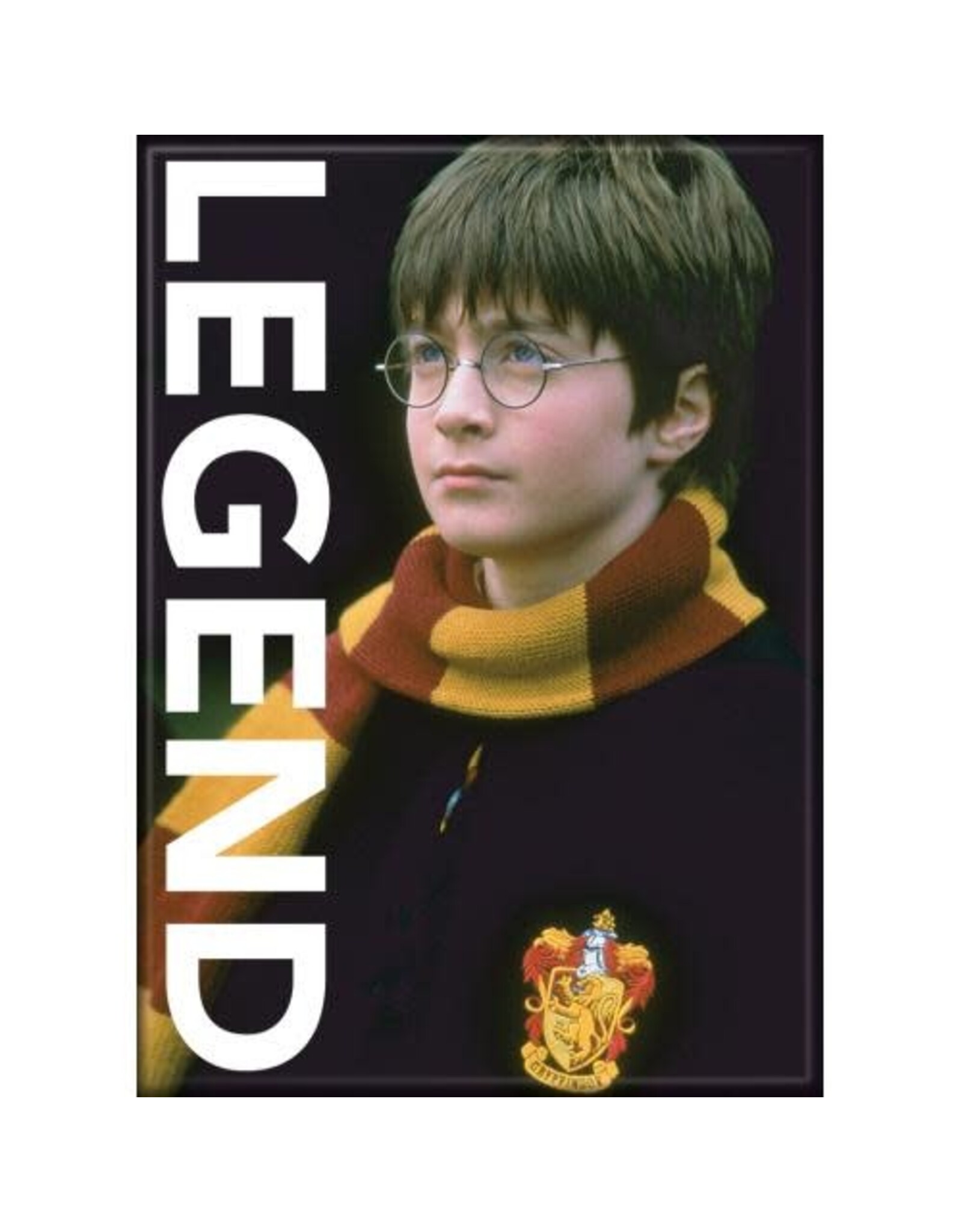 Harry Potter Legend Flat Magnet