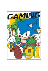 Sonic Gaming Since 91 Flat Magnet