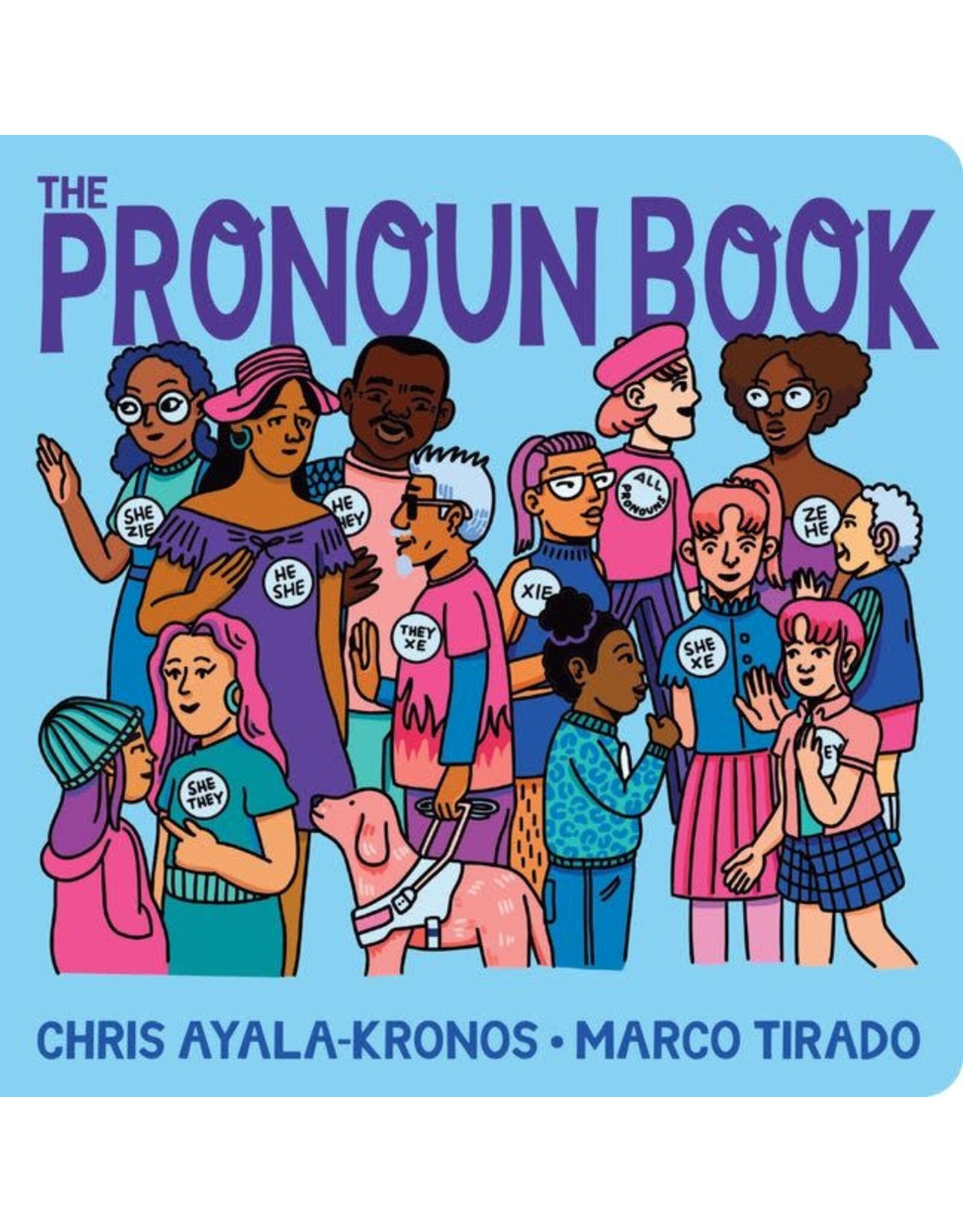 The Pronoun Book