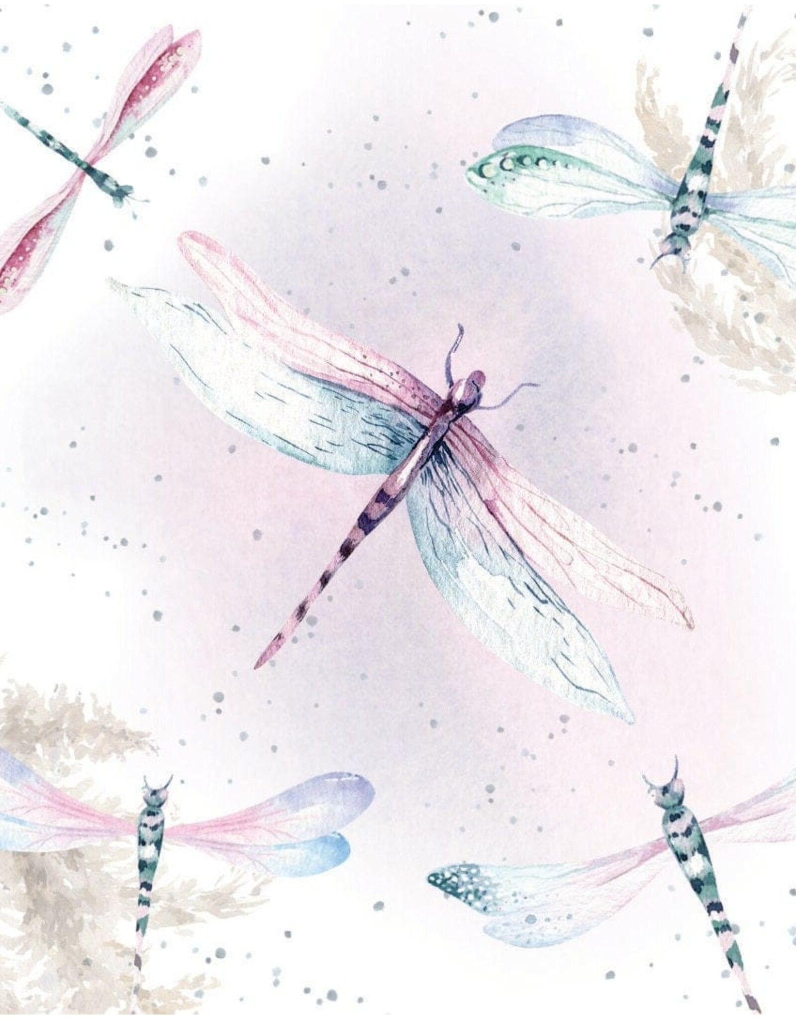 Flight Of Fancy Gift Enclosure