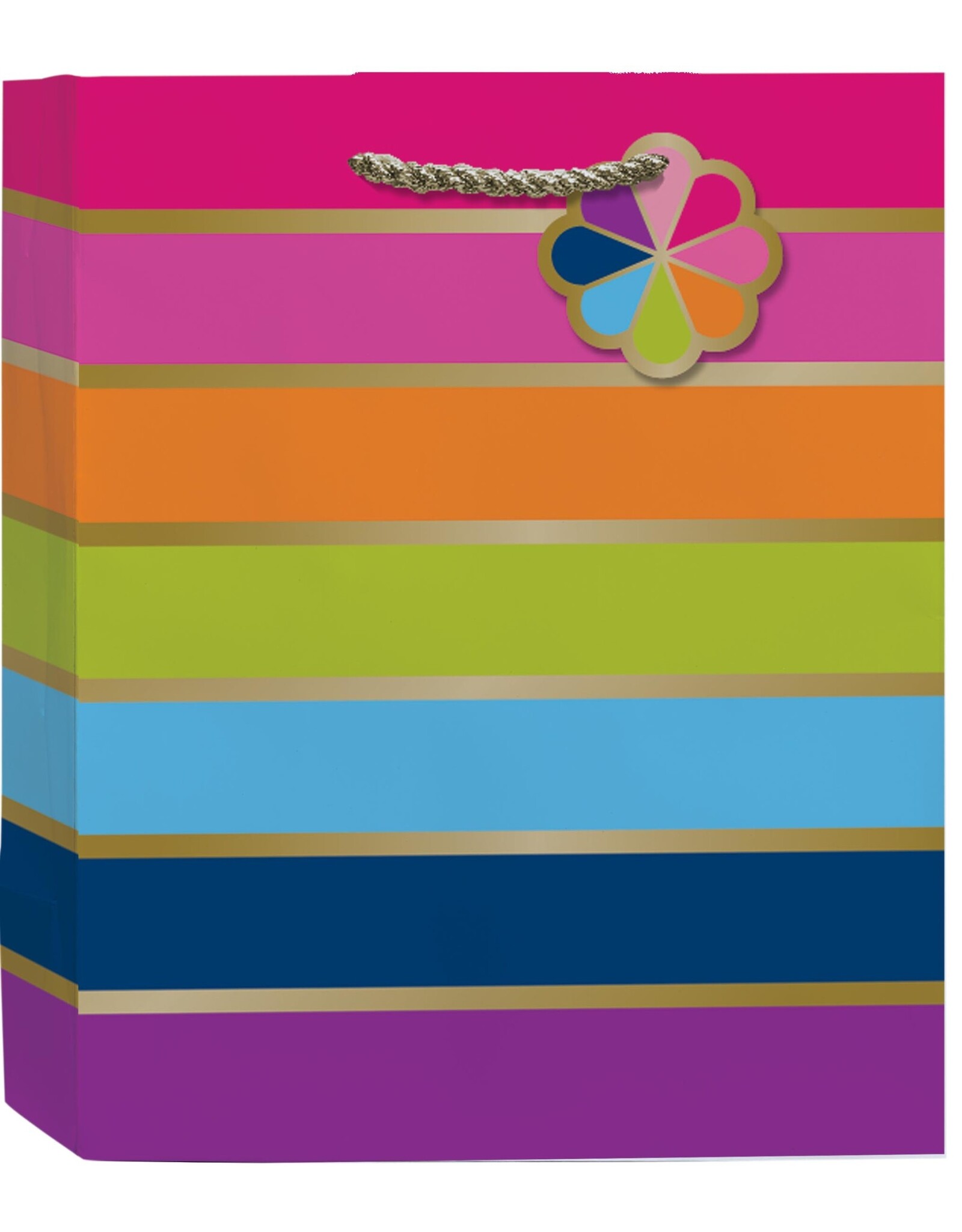 Razzle and Dazzle-Pinwheels Medium Gift Bag