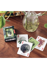 Kikkerland 3-D Plant Cards