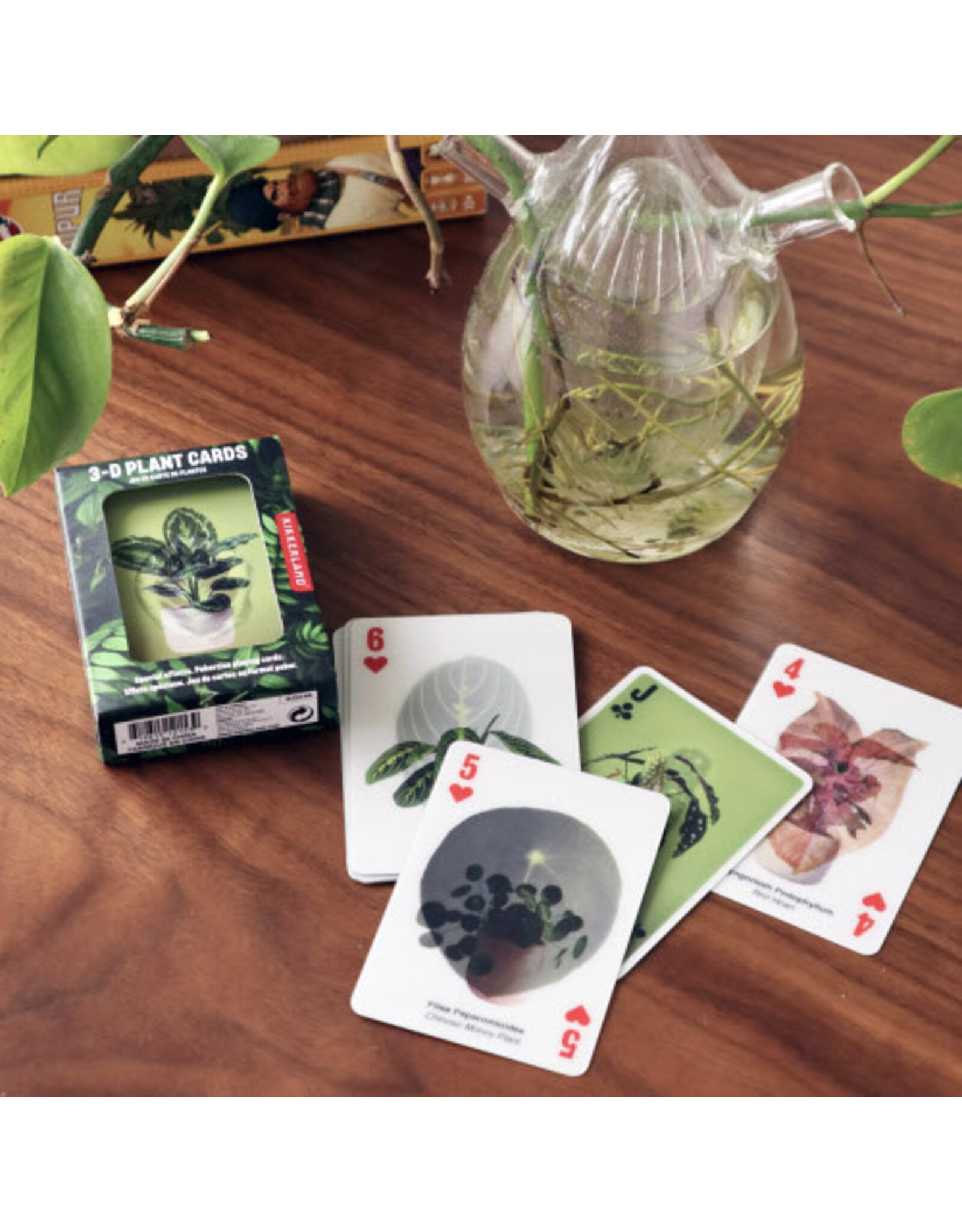 Kikkerland 3-D Plant Cards