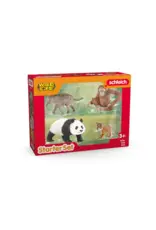 Schleich Wild Life Asia Starter Set