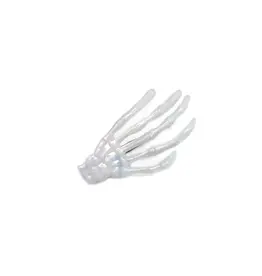 Great Pretenders Skeleton Hands Hair Clips