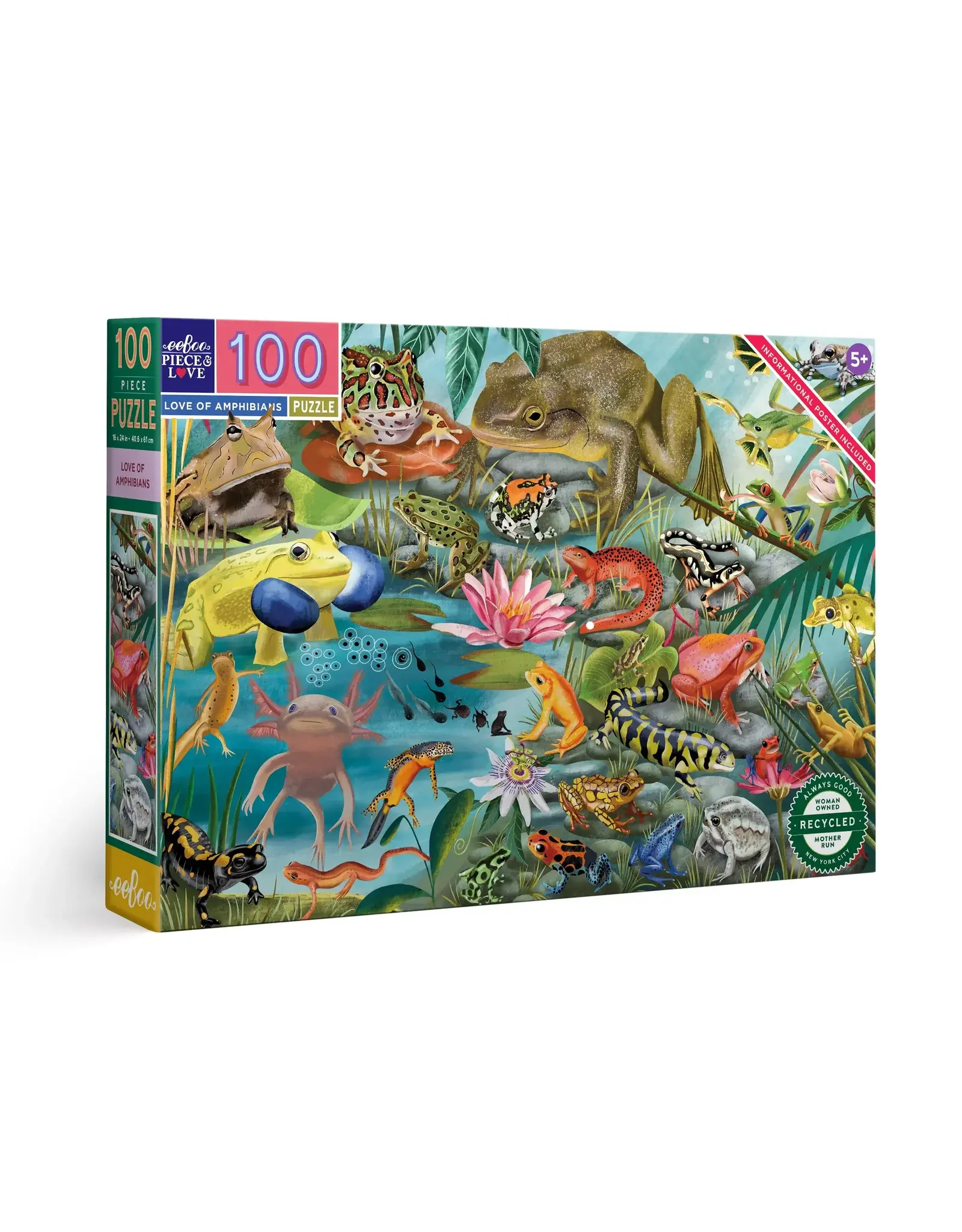 eeBoo Love of Amphibians 100pc