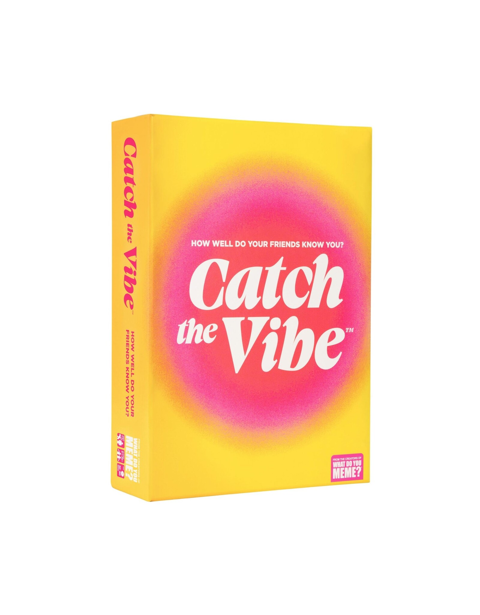 What Do You Meme Catch the Vibe