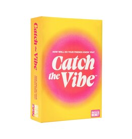 What Do You Meme Catch the Vibe
