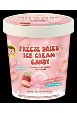 Freeze Dried Ice Cream Strawberry