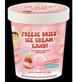 Freeze Dried Ice Cream Strawberry
