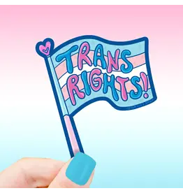 Turtle's Soup Trans Rights Pride Flag Vinyl Sticker