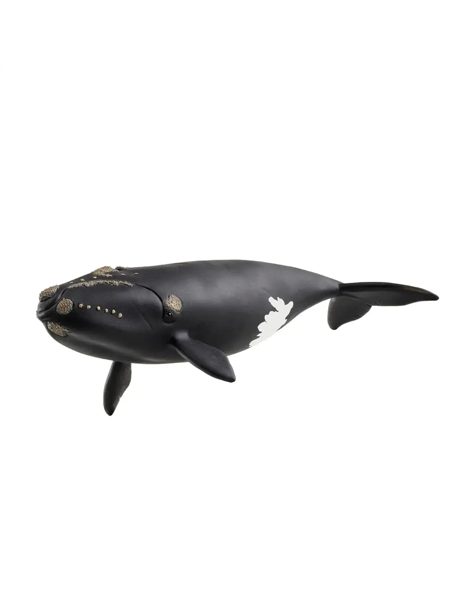 Schleich North Atlantic Right Whale
