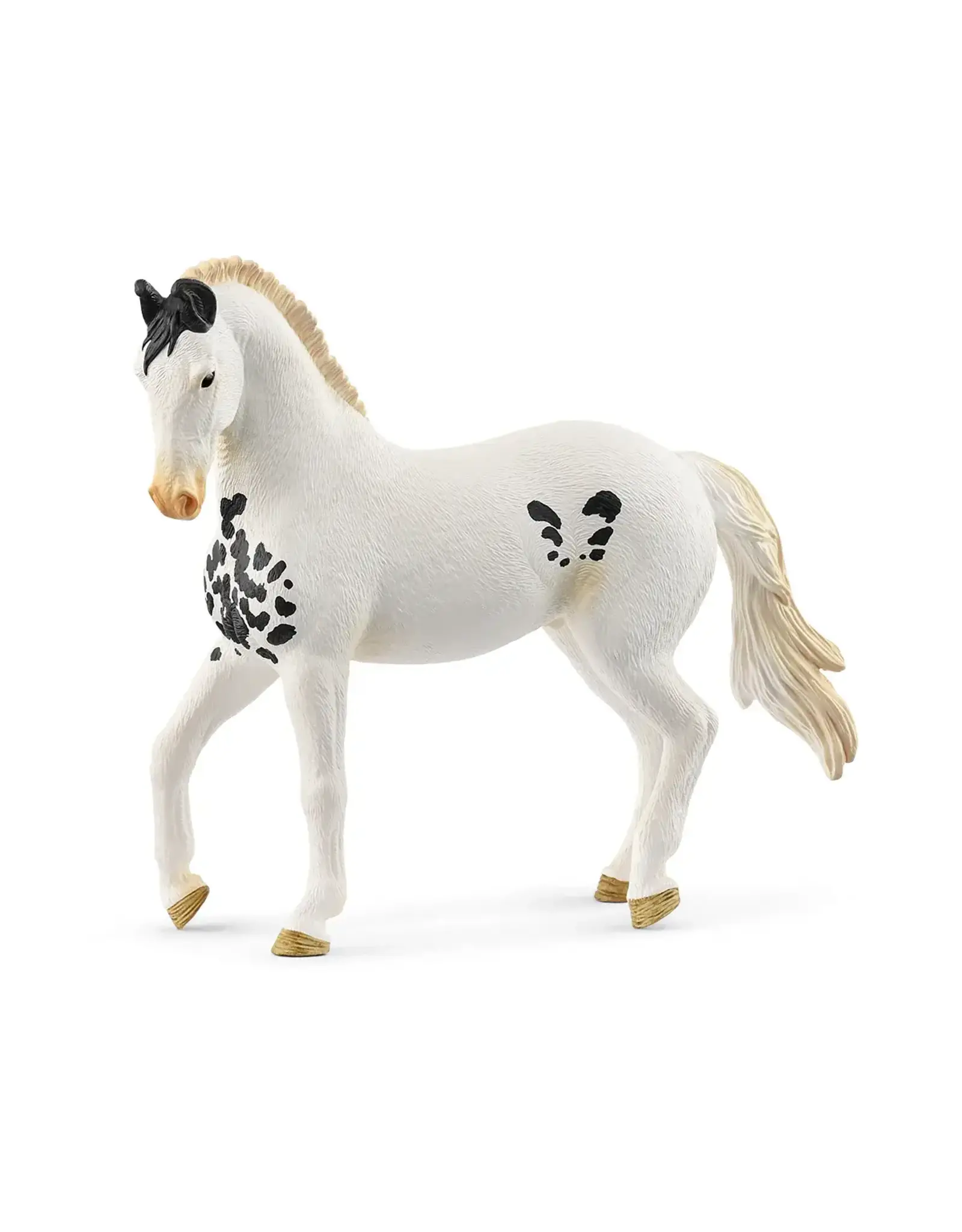 Schleich Marwari Stallion
