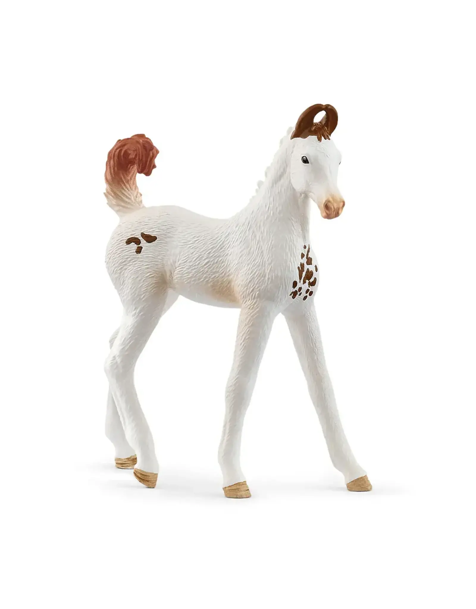 Schleich Marwari Foal