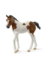 Schleich Paint Horse Foal
