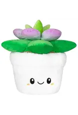 Squishable Squishable Succulent
