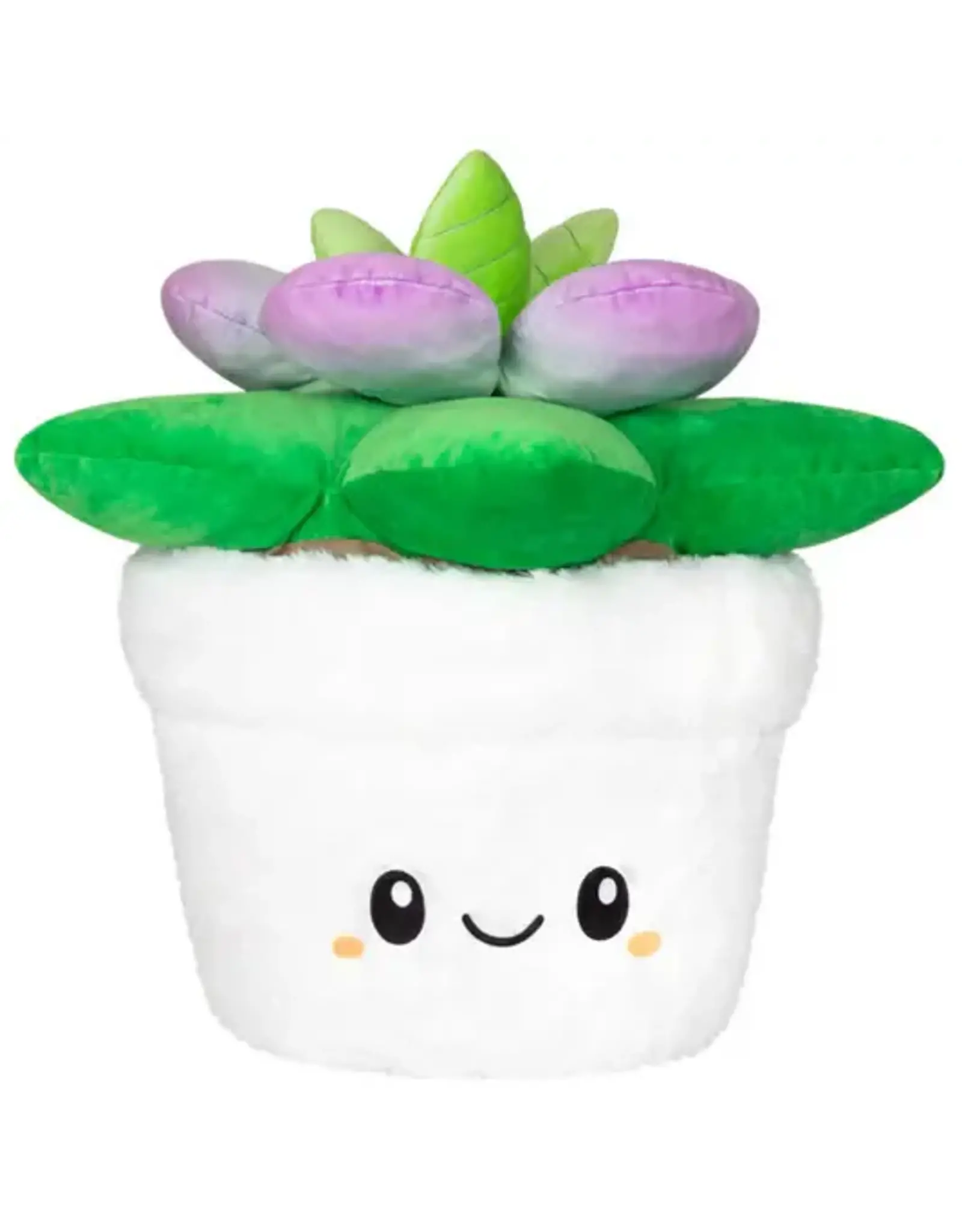 Squishable Squishable Succulent