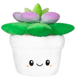 Squishable Squishable Succulent