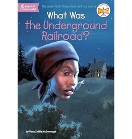 What Was the Underground Railroad?