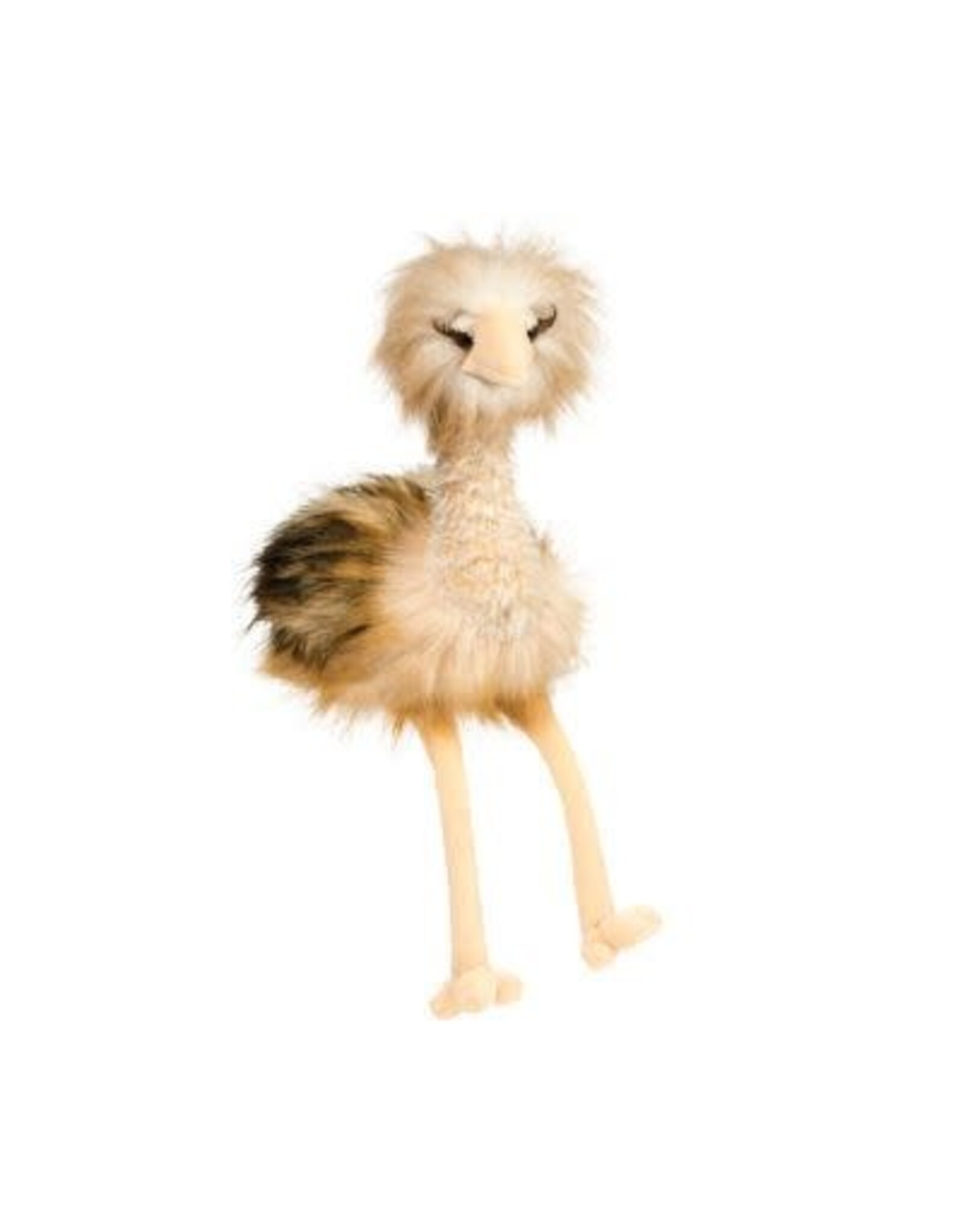 Douglas Omar Ostrich