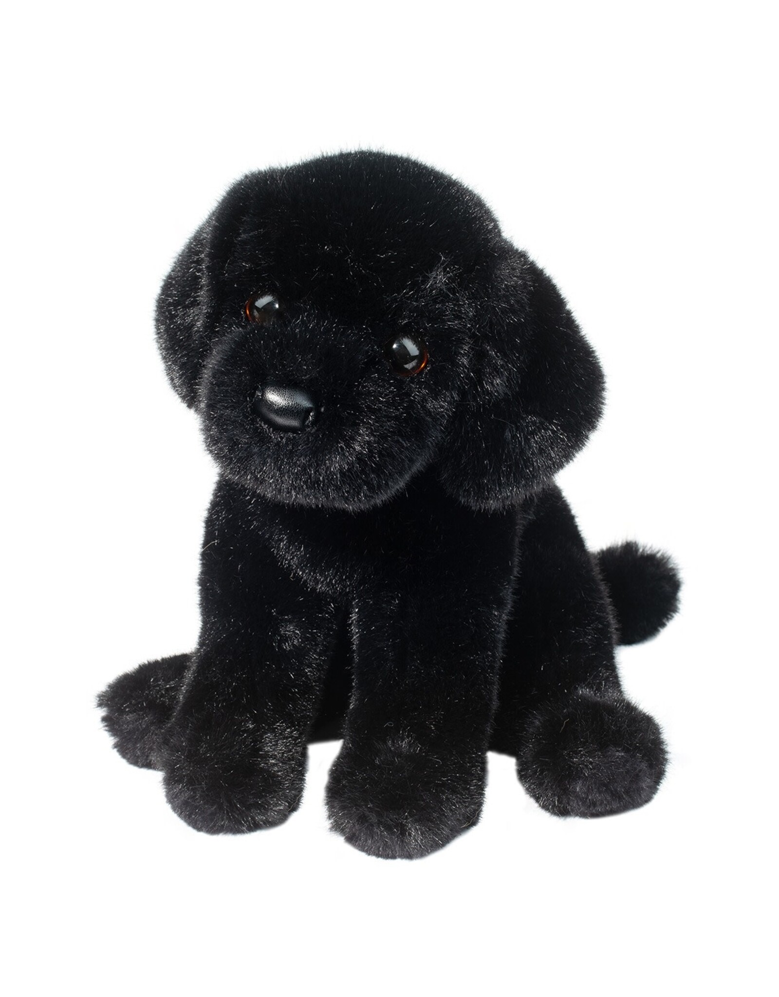 Douglas Ford Black Lab