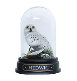 Hedwig Curiosity Cloche