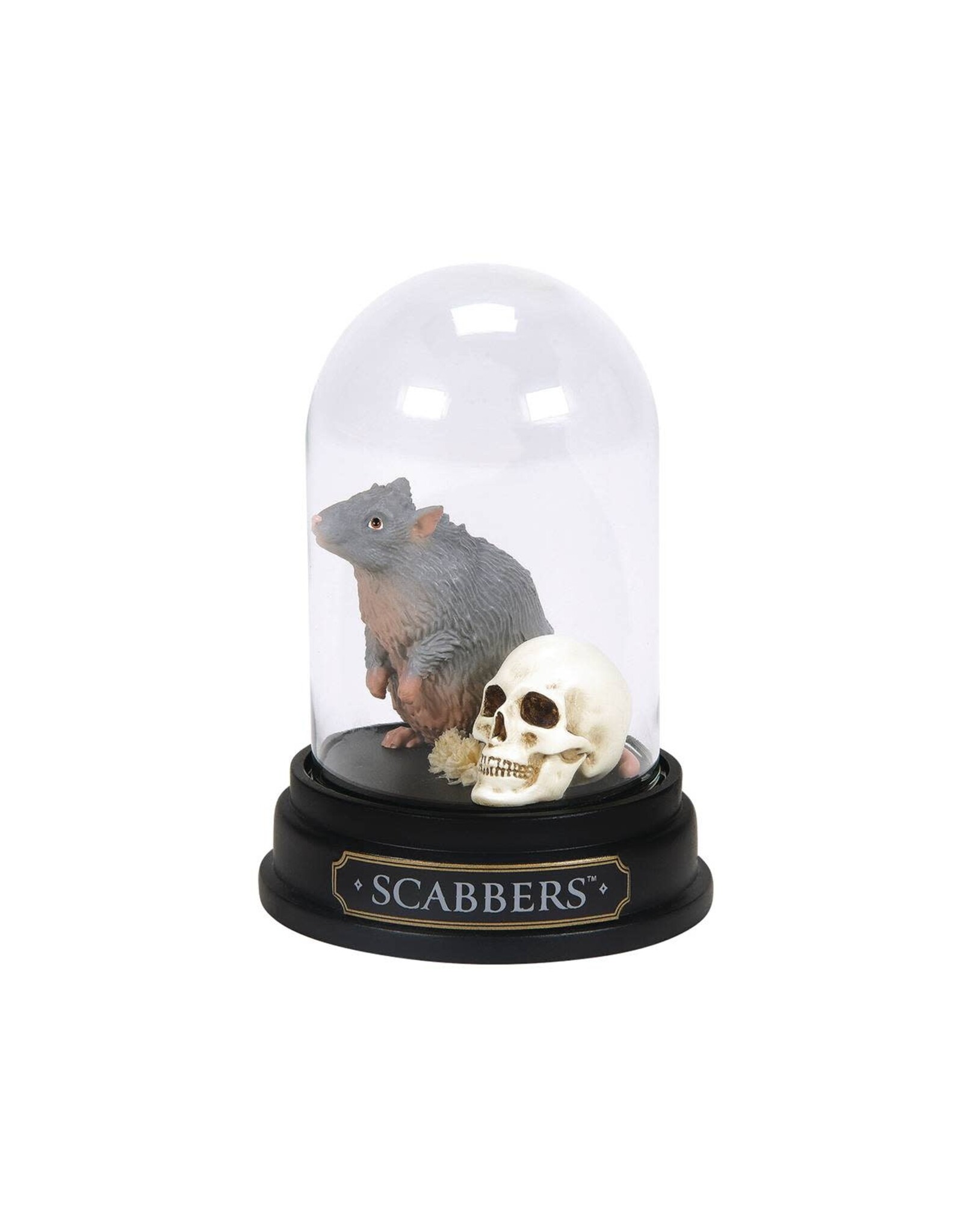 Scabbers Curiosity Cloche