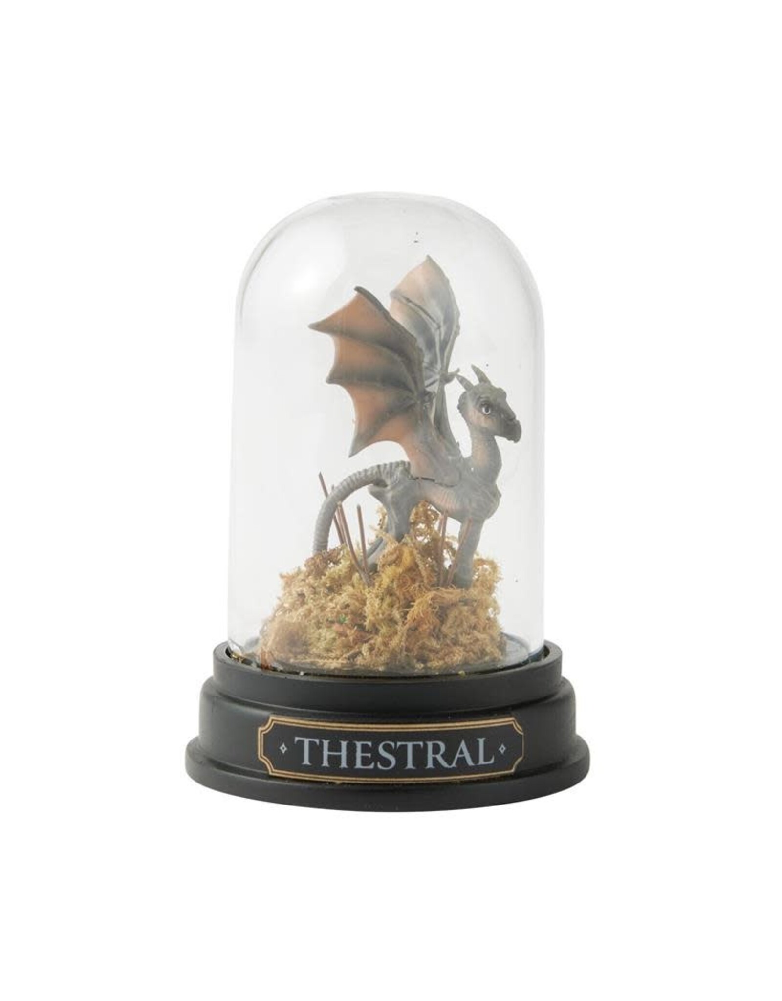 Thestral Curiosity Cloche
