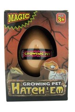 Growing Dinosaur Eggs
