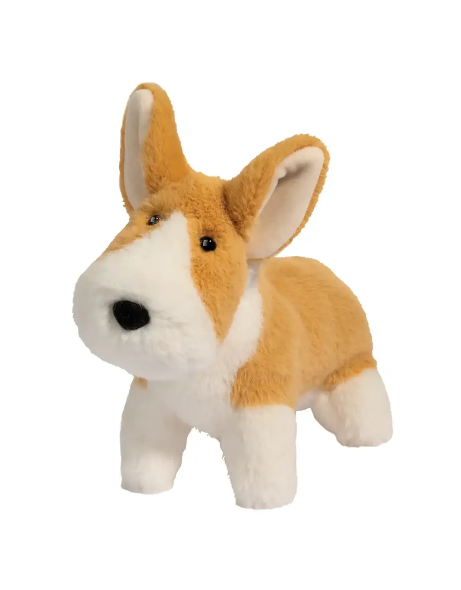 Douglas Carl Corgi Muzzle