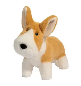 Douglas Carl Corgi Muzzle