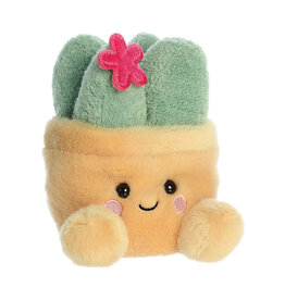 Aurora Palm Pals - 5" Seyla Succulent