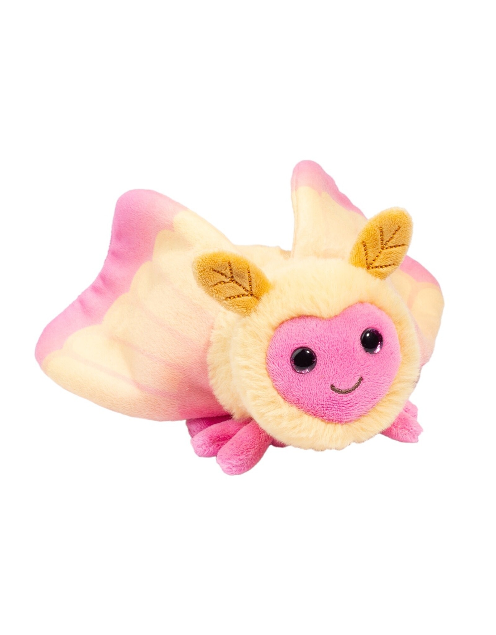 Douglas Rosy Maple Moth