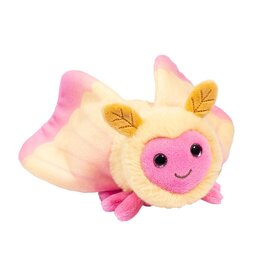 Douglas Rosy Maple Moth