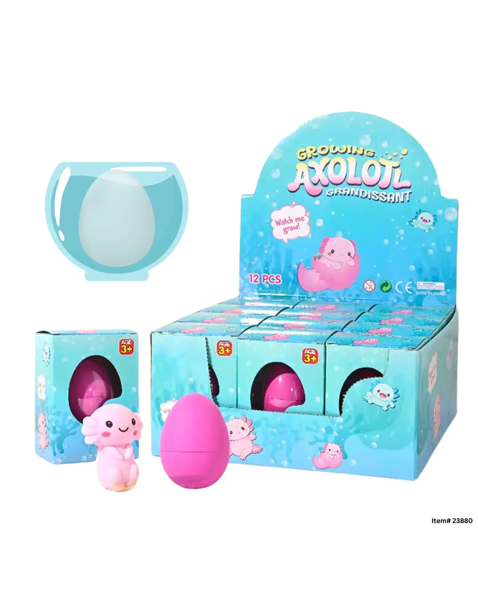 Growing Axolotl Egg