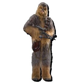 NMR Star Wars Chewbacca Funky Chunky Magnet