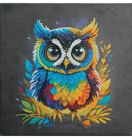 D.I.Y Crystal Art Kit Crystal Art Medium Framed Kit - Owl