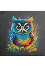 D.I.Y Crystal Art Kit Crystal Art Medium Framed Kit - Owl